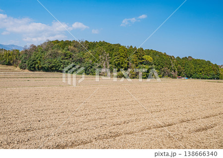 滋賀県大津市仰木の棚田風景 138666340