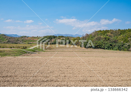 滋賀県大津市仰木の棚田風景 滋賀県大津市仰木の棚田風景 138666342