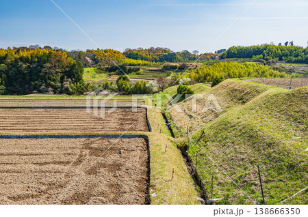 滋賀県大津市仰木の棚田風景 138666350