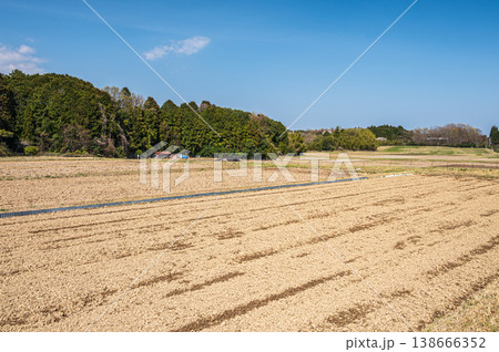 滋賀県大津市仰木の棚田風景 138666352
