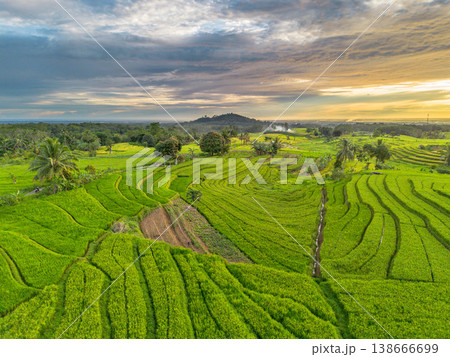 Beautiful morning view in Indonesia, panoramic landscape of rice fields with mountain ranges and clear sky Beautiful morning view in Indonesia, panoramic landscape of rice fields with mountain ranges and clear sky 138666699