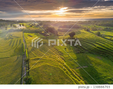 Beautiful morning view in Indonesia, panoramic landscape of rice fields with mountain ranges and clear sky Beautiful morning view in Indonesia, panoramic landscape of rice fields with mountain ranges and clear sky 138666703