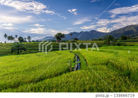Beautiful morning view in Indonesia, panoramic landscape of rice fields with mountain ranges and clear sky Beautiful morning view in Indonesia, panoramic landscape of rice fields with mountain ranges and clear sky 138666719