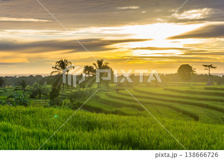 Beautiful morning view in Indonesia, panoramic landscape of rice fields with mountain ranges and clear sky Beautiful morning view in Indonesia, panoramic landscape of rice fields with mountain ranges and clear sky 138666726