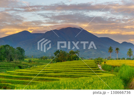 Beautiful morning view in Indonesia, panoramic landscape of rice fields with mountain ranges and clear sky Beautiful morning view in Indonesia, panoramic landscape of rice fields with mountain ranges and clear sky 138666736