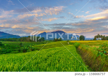 Beautiful morning view in Indonesia, panoramic landscape of rice fields with mountain ranges and clear sky 138666737