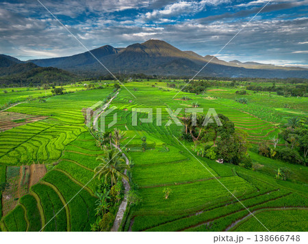 Beautiful morning view in Indonesia, panoramic landscape of rice fields with mountain ranges and clear sky Beautiful morning view in Indonesia, panoramic landscape of rice fields with mountain ranges and clear sky 138666748