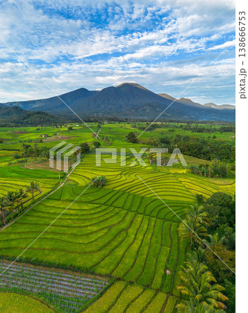 Beautiful morning view in Indonesia, panoramic landscape of rice fields with mountain ranges and clear sky Beautiful morning view in Indonesia, panoramic landscape of rice fields with mountain ranges and clear sky 138666753