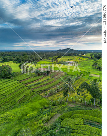 Beautiful morning view in Indonesia, panoramic landscape of rice fields with mountain ranges and clear sky Beautiful morning view in Indonesia, panoramic landscape of rice fields with mountain ranges and clear sky 138666776