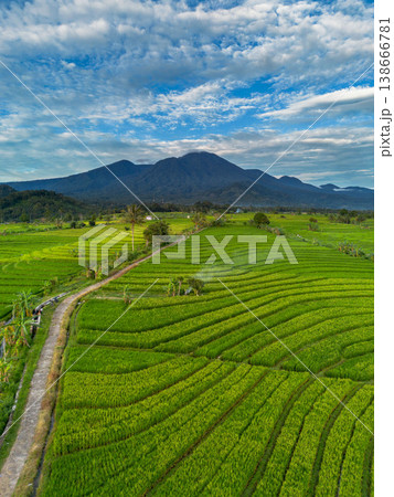 Beautiful morning view in Indonesia, panoramic landscape of rice fields with mountain ranges and clear sky Beautiful morning view in Indonesia, panoramic landscape of rice fields with mountain ranges and clear sky 138666781