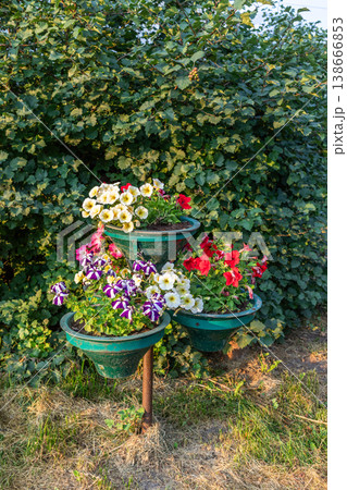 Flower planter with colorful blooms in tiered arrangement outdoors Flower planter with colorful blooms in tiered arrangement outdoors 138666853