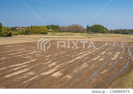 滋賀県大津市仰木の棚田風景 138666973