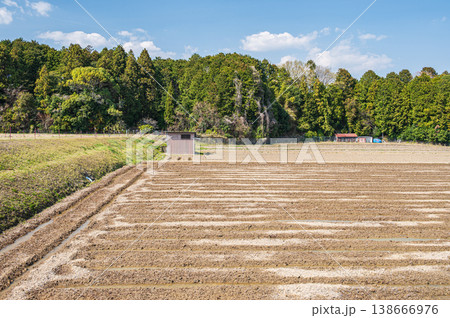 滋賀県大津市仰木の棚田風景 138666976