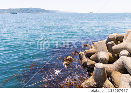 大蔵海岸の消波ブロックと海藻 138667487