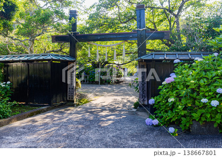 千葉県 真野寺の紫陽花 千葉県 真野寺の紫陽花 138667801