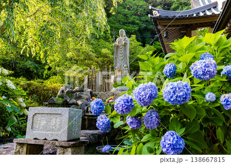 千葉県 真野寺の紫陽花 千葉県 真野寺の紫陽花 138667815