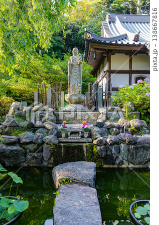 千葉県　真野寺の紫陽花　 138667816