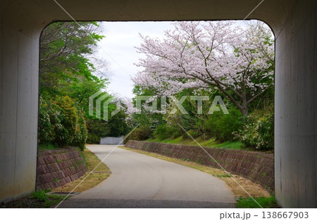 トンネルをくぐり抜けた先の風景 138667903