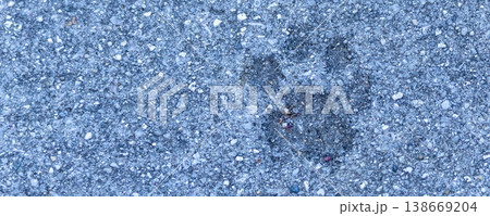 広島県尾道市で見つけたコンクリートの上に残ったネコの足跡 138669204