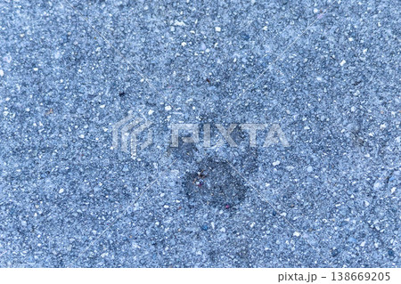 広島県尾道市で見つけたコンクリートの上に残ったネコの足跡 138669205