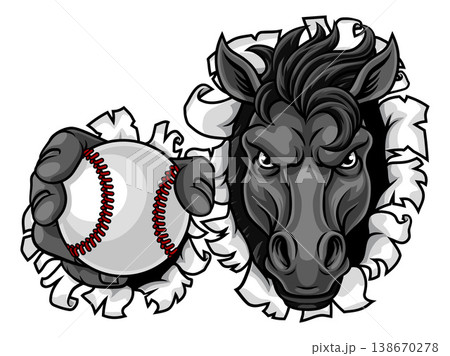 Horse Mustang Stallion Baseball Sports Team Mascot 138670278