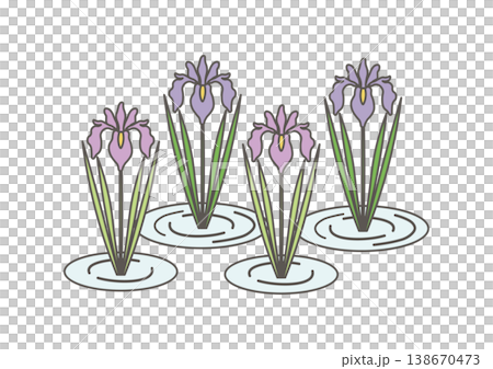 Illustration of irises by the water's edge Illustration of irises by the water's edge 138670473