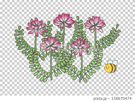 かわいいみつばちとレンゲソウのイラスト 138670474