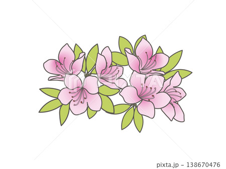 かわいいツツジのイラスト素材 138670476