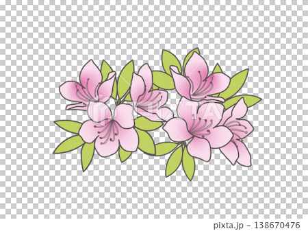 かわいいツツジのイラスト素材 138670476