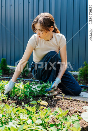 Young woman removes weeds with gardening gloves. Cleaning of the territory. Outdoor spring work. 138670629