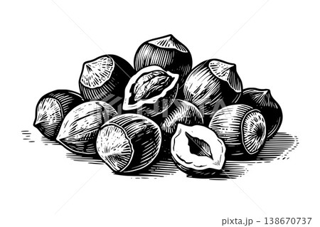 A pile of hazelnuts shown in hand-drawn engraving style on a white background, illustrating a concept of natural food 138670737