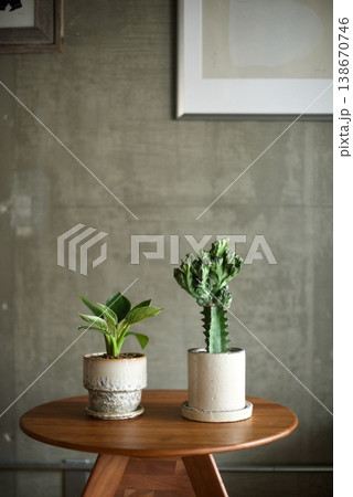 白い陶器鉢にいれた観葉植物 138670746