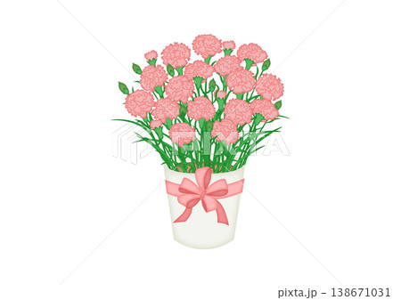 ピンクのカーネーションの鉢植えのイラスト 138671031