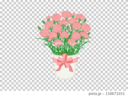 ピンクのカーネーションの鉢植えのイラスト 138671031