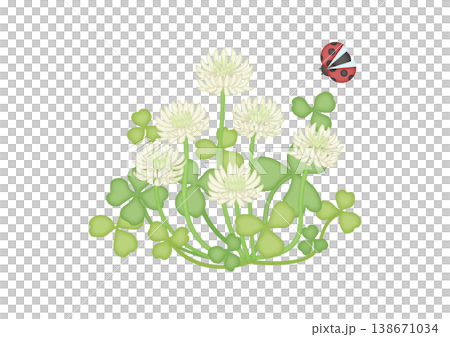 かわいいてんとうむしとシロツメクサのイラスト 138671034