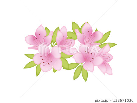 かわいいツツジのイラスト素材 138671036