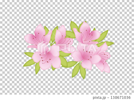 かわいいツツジのイラスト素材 138671036