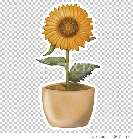 Sunflower sticker collection set. Cute yellow colors. Can be used for card, invitation, border. Isolated illustration of decoration, hand drawn cartoon illustration.	 138671158