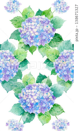 紫陽花の水彩イラスト 紫陽花の水彩イラスト 138671327