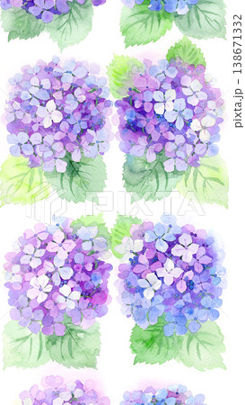 紫のあじさいの水彩画イラスト 紫のあじさいの水彩画イラスト 138671332