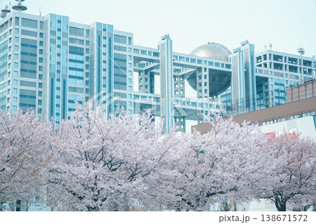 フジテレビと満開の桜 フジテレビと満開の桜 138671572