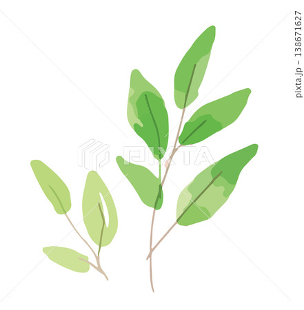 緑の葉がついた枝の手描き風イラストセット 植物パーツ素材 138671627