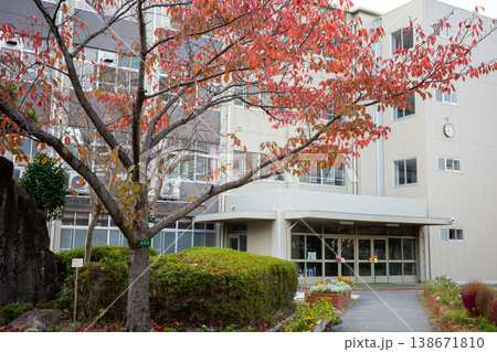 紅葉したサクラと小学校校舎 紅葉したサクラと小学校校舎 138671810