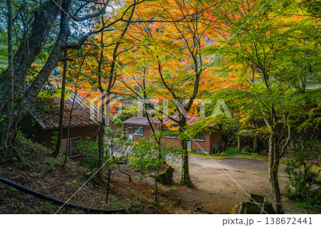 新城市の鳴沢の滝周辺の紅葉の風景(愛知県) 138672441