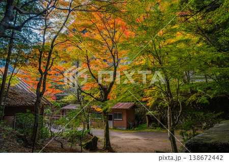 新城市の鳴沢の滝周辺の紅葉の風景(愛知県) 138672442