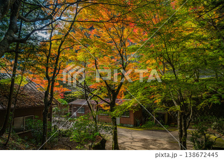 新城市の鳴沢の滝周辺の紅葉の風景(愛知県) 新城市の鳴沢の滝周辺の紅葉の風景(愛知県) 138672445
