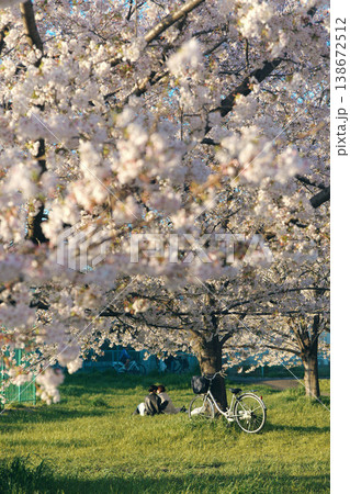 桜の下で花見をする人々 桜の下で花見をする人々 138672512