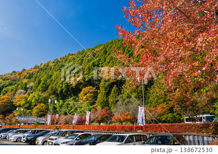 道の駅奥大井音戯の里と背後に見える山(静岡県) 道の駅奥大井音戯の里と背後に見える山(静岡県) 138672530