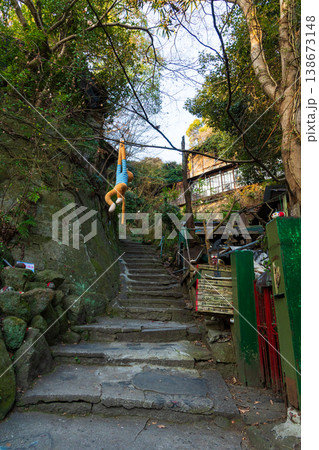 冬の瀬戸内　広島県尾道市　猫の細道 138673148