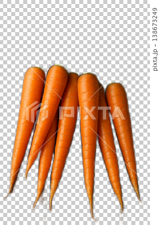 胡蘿蔔胡蘿蔔胡蘿蔔 138673249